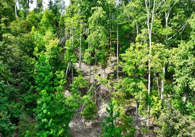 Photo 3 of Land for sale at 57 Ridge Top Rd, Stewart, TN 37175 | MLS# 3322474 | Listing updated on 2026-09-22