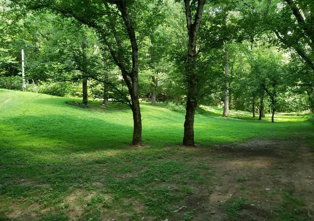 5th image of 268 Ben Gentry Ln, Elmwood, TN 38560 | MLS# 3335297