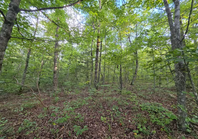 1st image of 18 Meyers Road, Altamont, TN 37301 | MLS# 3326361