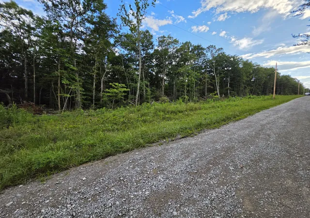 2nd image of 18 Meyers Road, Altamont, TN 37301 | MLS# 3326361