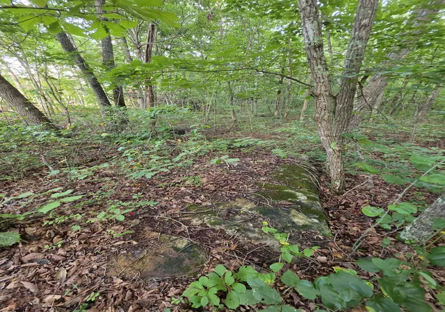 3rd image of 18 Meyers Road, Altamont, TN 37301 | MLS# 3326361