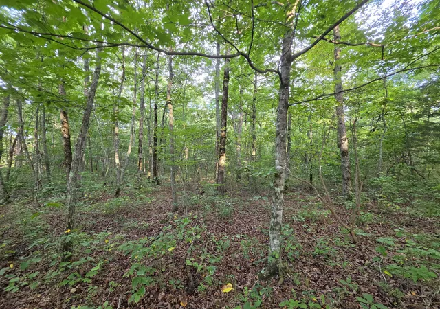 4th image of 18 Meyers Road, Altamont, TN 37301 | MLS# 3326361