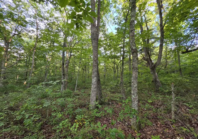 5th image of 18 Meyers Road, Altamont, TN 37301 | MLS# 3326361