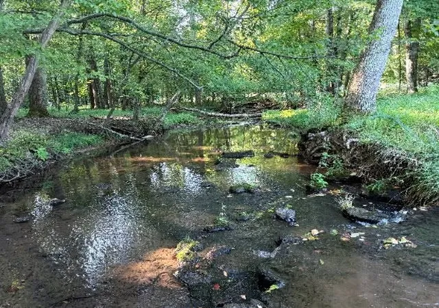 1st image of 0 Brown Road, Bon Aqua, TN 37025 | MLS# 3395832
