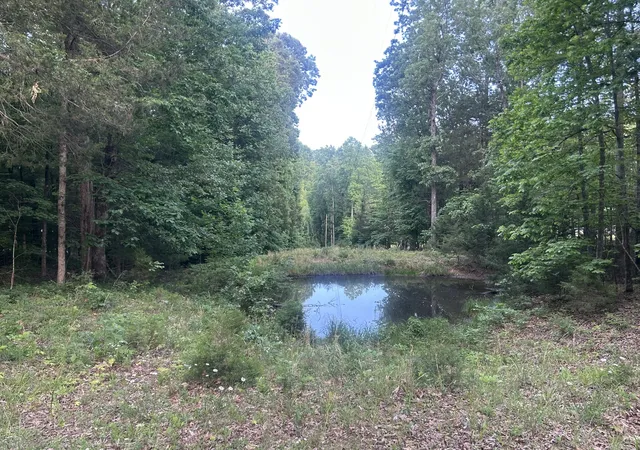 Photo 1 of Land for sale at 0 Bethany Rd, Erin, TN 37061 | MLS# 3333485 | Listing updated on 2026-09-04