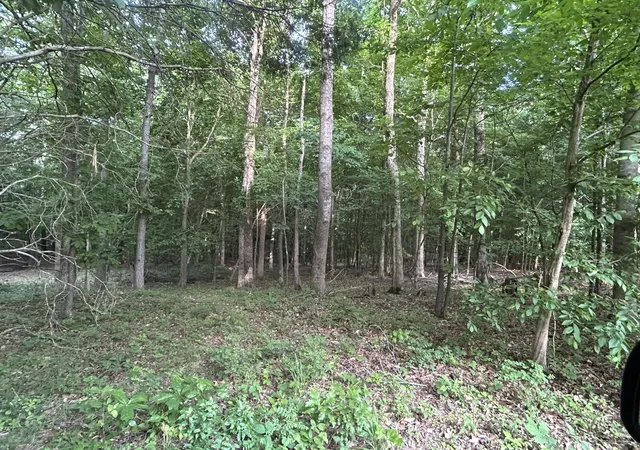 Photo 2 of Land for sale at 0 Bethany Rd, Erin, TN 37061 | MLS# 3333485 | Listing updated on 2026-09-04