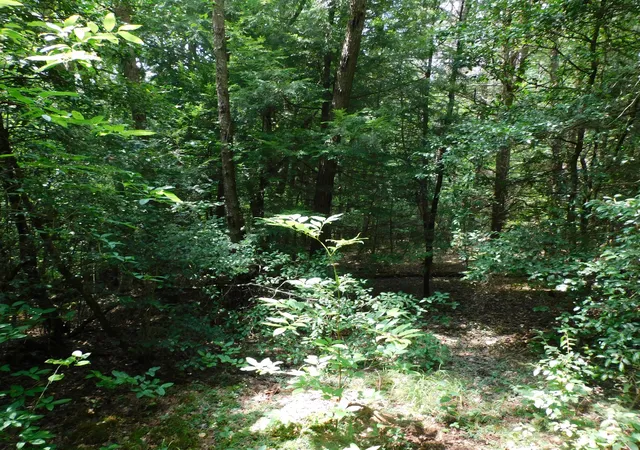 1st image of 0 Old Hwy 56, Coalmont, TN 37313 | MLS# 3333848