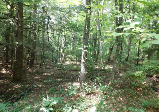 image of 0 Old Hwy 56, Coalmont, TN 37313 | MLS# 3333848