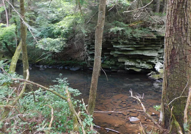 image of 0 Old Hwy 56, Coalmont, TN 37313 | MLS# 3333848