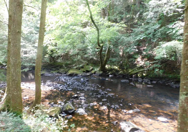 image of 0 Old Hwy 56, Coalmont, TN 37313 | MLS# 3333848