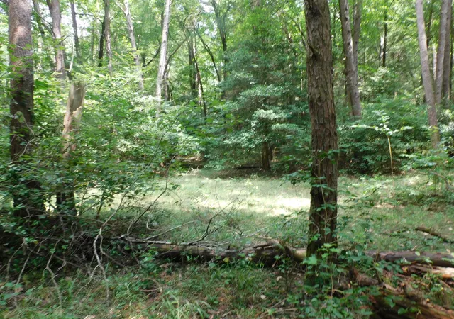 Photo 4 of House for sale at 0 Old Hwy 56, Coalmont, TN 37313 | MLS# 3333848 | Listing updated on 2026-09-25