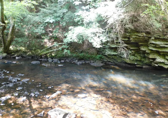 7th image of 0 Old Hwy 56, Coalmont, TN 37313 | MLS# 3333848
