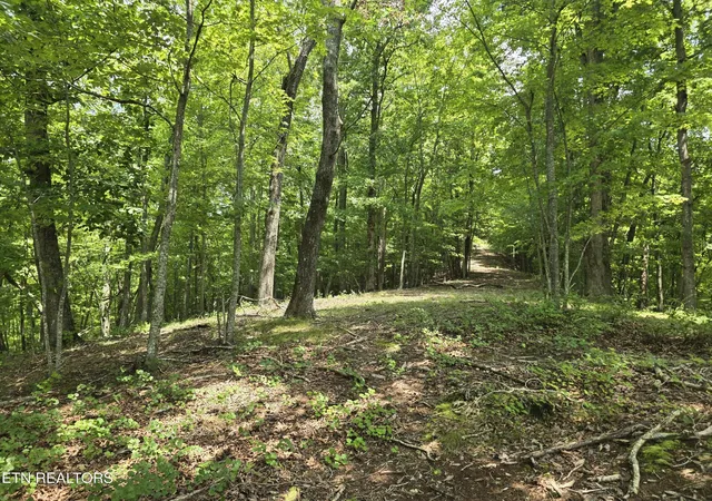 14th image of 22 Twin Feathers Dr, Rockwood, TN 37854 | MLS# 3333490