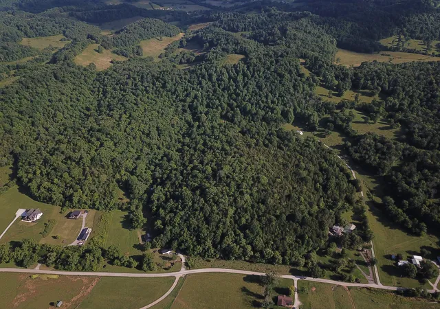 1st image of 0 Norton Branch Rd, Beechgrove, TN 37018 | MLS# 3510612