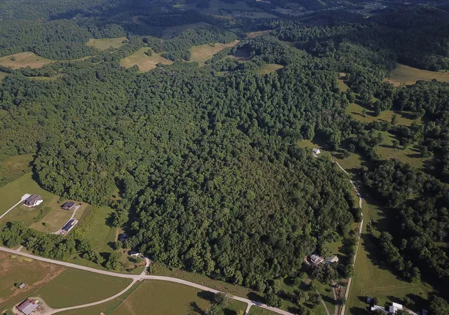 3rd image of 0 Norton Branch Rd, Beechgrove, TN 37018 | MLS# 3510612