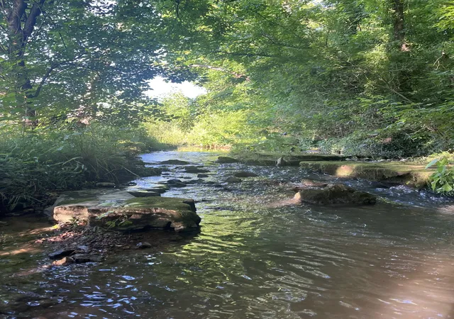 36th image of 0 Norton Branch Rd, Beechgrove, TN 37018 | MLS# 3510612