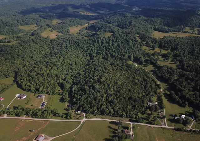 4th image of 0 Norton Branch Rd, Beechgrove, TN 37018 | MLS# 3510612