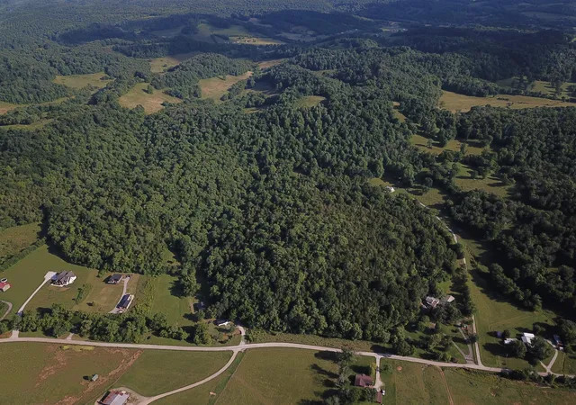 5th image of 0 Norton Branch Rd, Beechgrove, TN 37018 | MLS# 3510612