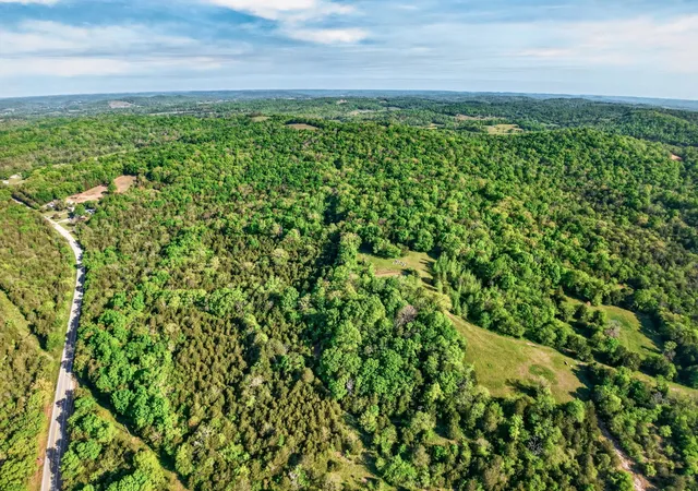 3rd image of 475 Old Elkton Pike, Fayetteville, TN 37334 | MLS# 3500872