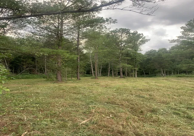 2nd image of 3 Grice Rd, Sardis, TN 38371 | MLS# 3333635