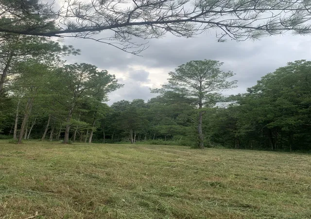 3rd image of 3 Grice Rd, Sardis, TN 38371 | MLS# 3333635