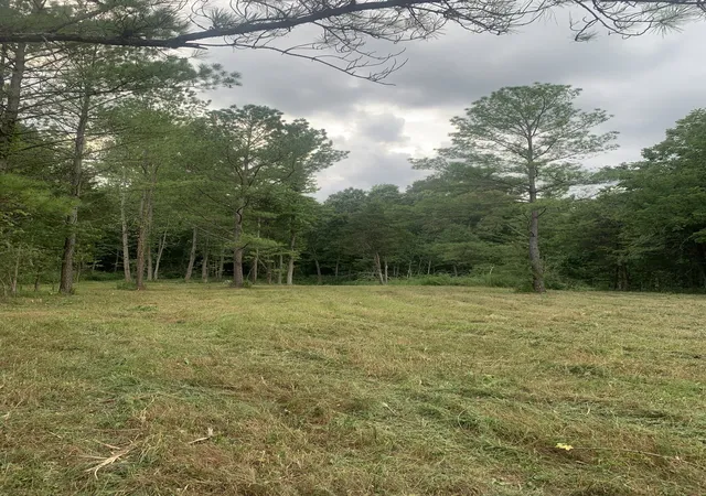 4th image of 3 Grice Rd, Sardis, TN 38371 | MLS# 3333635