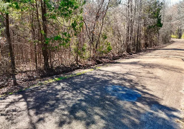 5th image of 0 Bishop Rd, Middleton, TN 38052 | MLS# 3333583