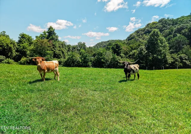 53rd image of 3000 Upper Caney Valley Rd, Tazewell, TN 37879 | MLS# 3333589