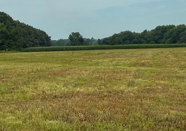 2nd image of 0 Rushing Road, Ethridge, TN 38456 | MLS# 3333615