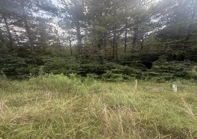 4th image of 160 Mountain View Circle, Ocoee, TN 37361 | MLS# 3333629