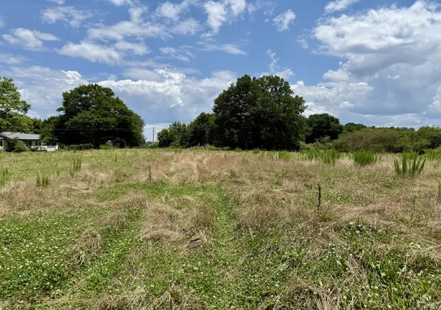 6th image of 0 County Road 641, Hanceville, AL 35077 | MLS# 3333690