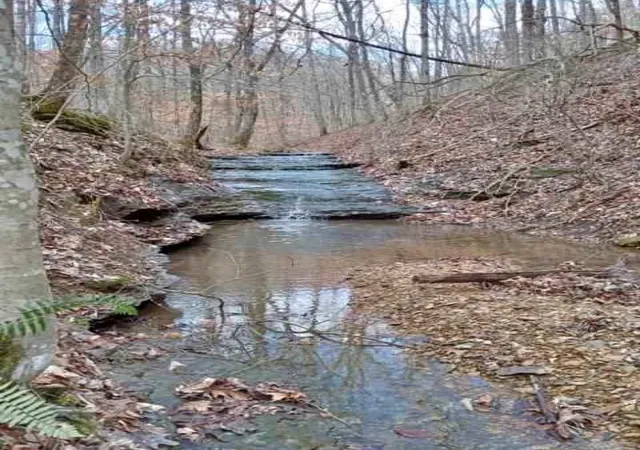 Photo 3 of Land for sale at 1170 Ella Dr, Ashland City, TN 37015 | MLS# 3333755 | Listing updated on 2026-08-05