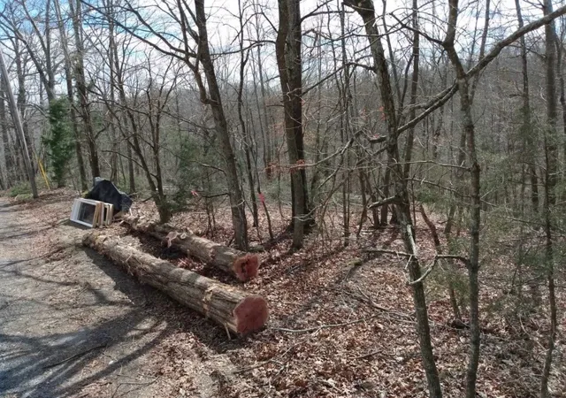 Photo 3 of Land for sale at 1170 Ella Dr, Ashland City, TN 37015 | MLS# 3333755 | Listing updated on 2026-08-05