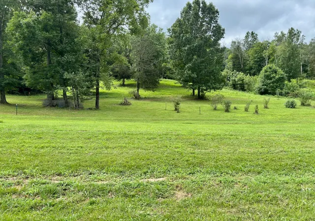 Land for sale at 564 Dry Branch Rd, Dixon Springs, TN 37057 | MLS# 3335345