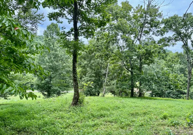 Photo 2 of Land for sale at 564 Dry Branch Rd, Dixon Springs, TN 37057 | MLS# 3335345 | Listing updated on 2026-08-19