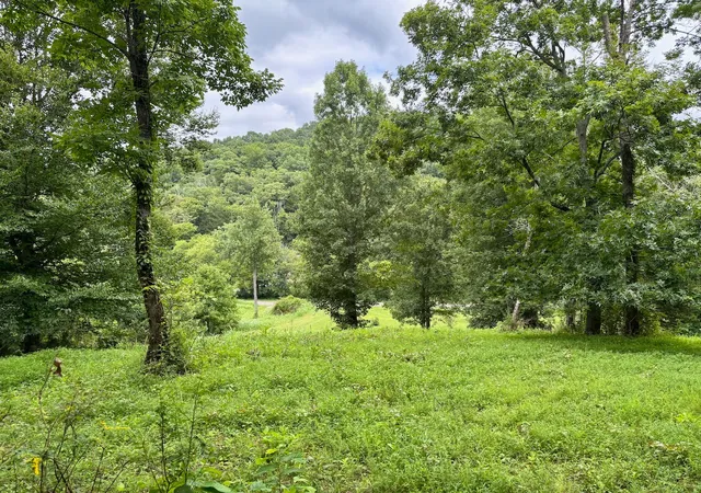 Photo 3 of Land for sale at 564 Dry Branch Rd, Dixon Springs, TN 37057 | MLS# 3335345 | Listing updated on 2026-08-19