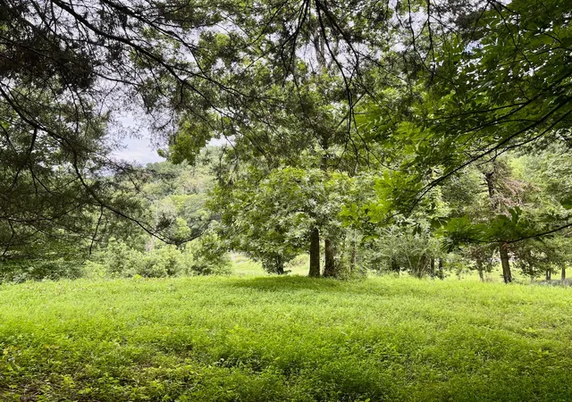 Photo 4 of Land for sale at 564 Dry Branch Rd, Dixon Springs, TN 37057 | MLS# 3335345 | Listing updated on 2026-08-19
