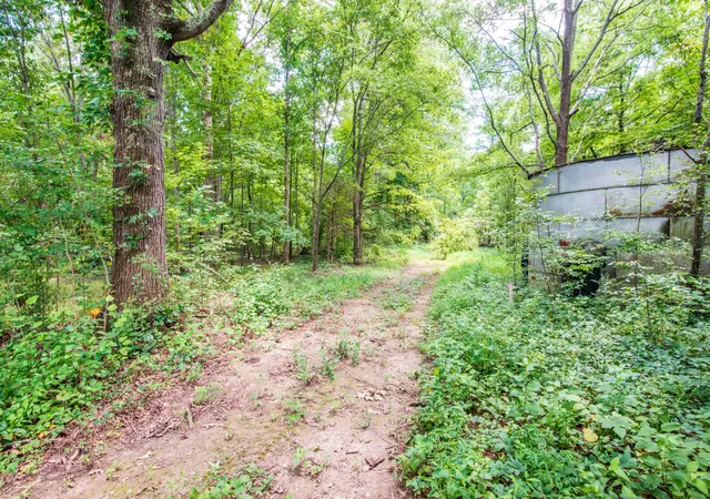 18th image of 0 Marshall Rd, Belvidere, TN 37306 | MLS# 3336165