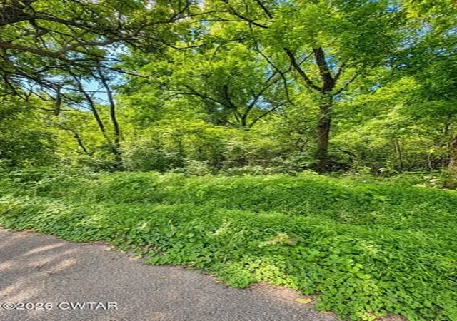 2nd image of 0 Reeves St, Lexington, TN 38351 | MLS# 3333802