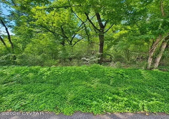 3rd image of 0 Reeves St, Lexington, TN 38351 | MLS# 3333802