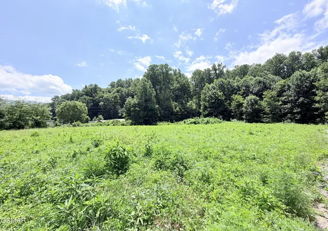 2nd image of 197 Tennessee 32, Cosby, TN 37722 | MLS# 3333786