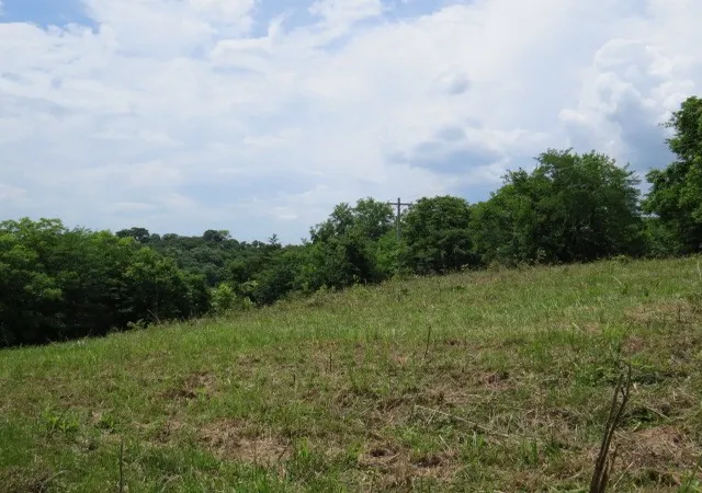 12th image of 0 Hardy Rd, Pulaski, TN 38478 | MLS# 3333827