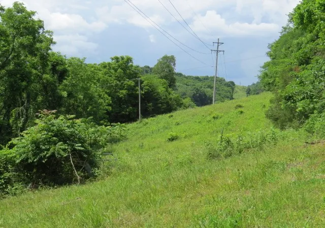 3rd image of 0 Hardy Rd, Pulaski, TN 38478 | MLS# 3333827