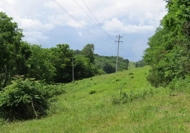 5th image of 0 Hardy Rd, Pulaski, TN 38478 | MLS# 3333827