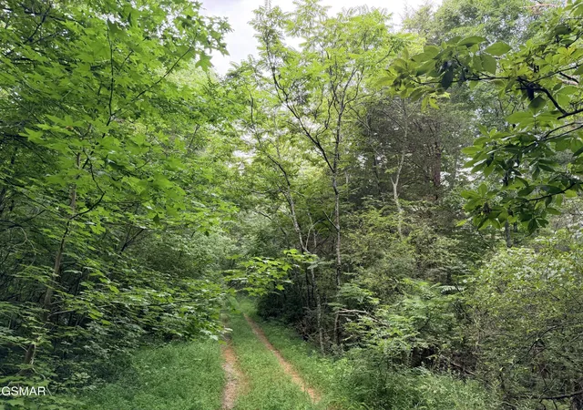 2nd image of 1337 E Hwy 25 70, Newport, TN 37821 | MLS# 3333838