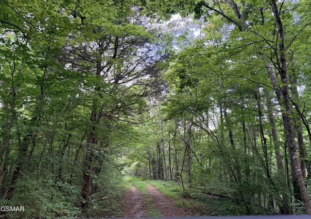 3rd image of 1337 E Hwy 25 70, Newport, TN 37821 | MLS# 3333838