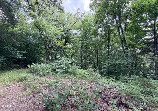 4th image of 1337 E Hwy 25 70, Newport, TN 37821 | MLS# 3333838