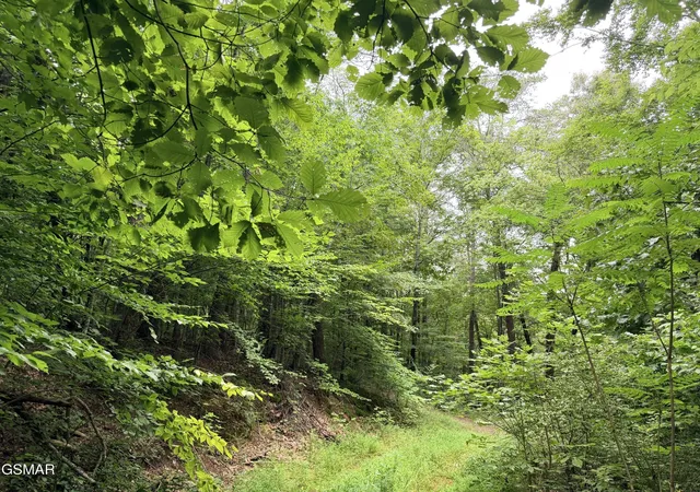 5th image of 1337 E Hwy 25 70, Newport, TN 37821 | MLS# 3333838