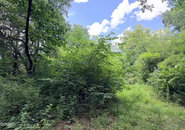 9th image of 1337 E Hwy 25 70, Newport, TN 37821 | MLS# 3333838