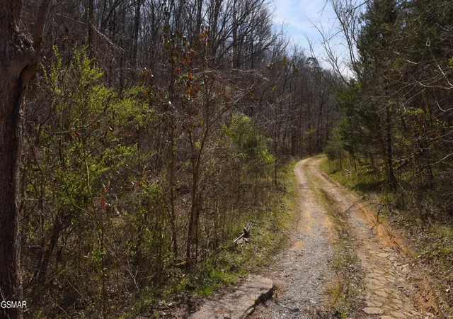 12th image of 912 Cooley King Road, Kodak, TN 37764 | MLS# 3333893